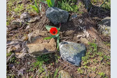 5455 N Carolina 119, Burlington, NC 27217 - Photo 60