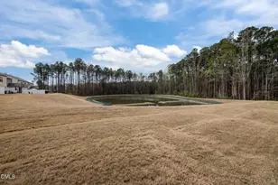 1009 Everglades Wy, Durham, NC 27713 - Photo 54