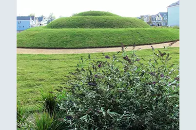 1667 Briar Chapel Parkway, Chapel Hill, NC 27516 - Photo 64