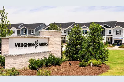 158 Vaughan Farms Drive #Lot 69, Angier, NC 27501 - Photo 24