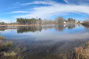 59 Sea Palm Ct, Lillington, NC 27546 - Photo 4