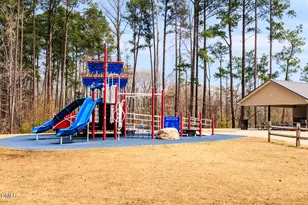 59 Sea Palm Ct, Lillington, NC 27546 - Photo 24