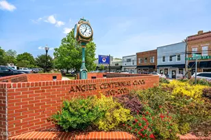 55 Ara Ct, Angier, NC 27501 - Photo 30