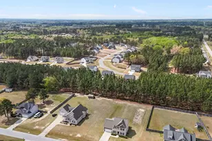 64 Widgeon Way, Lillington, NC 27546 - Photo 52