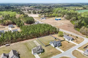 64 Widgeon Way, Lillington, NC 27546 - Photo 46
