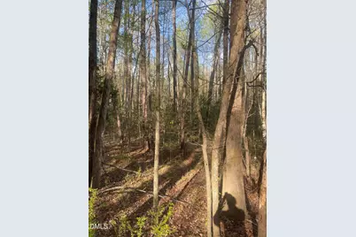 0 Ed Lane, Carthage, NC 28327 - Photo 1