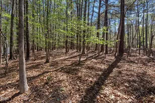 2509 Barton Ridge Ct, Raleigh, NC 27613 - Photo 48