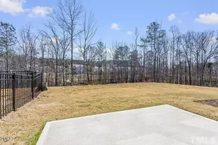1195 Chestnut Bluff Run, Apex, NC 27502 - Photo 20