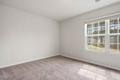 224 Ivy Banks Drive, Angier, NC 27501 - Photo 14