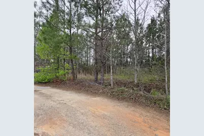 Lot #2 Fuller Road, Louisburg, NC 27549 - Photo 4