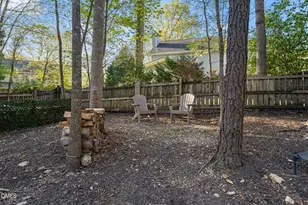203 Wyndham Dr, Chapel Hill, NC 27516 - Photo 54