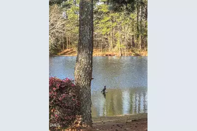 576 Tralee Drive, Smithfield, NC 27577 - Photo 32