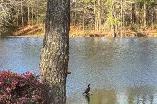 576 Tralee Dr, Smithfield, NC 27577 - Photo 32