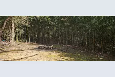 800 Hamlets Chapel Road, Pittsboro, NC 27312 - Photo 16