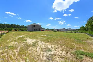 207 Ambrosia Wy, Bunnlevel, NC 28323 - Photo 30