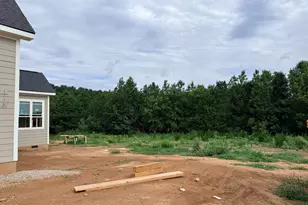 202 Batten Pond Rd, Selma, NC 27576 - Photo 68