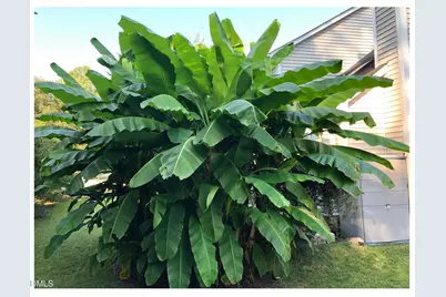 109 Hanford Road, Chapel Hill, NC 27516 - Photo 48