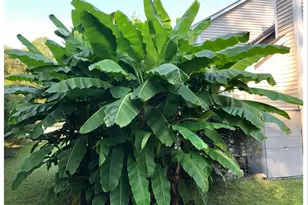 109 Hanford Rd, Chapel Hill, NC 27516 - Photo 48