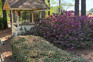 429 Butts Rd, Angier, NC 27501 - Photo 68