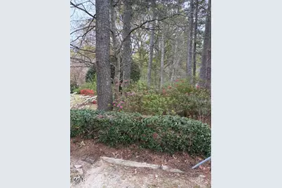 429 Butts Road, Angier, NC 27501 - Photo 54