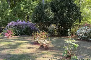429 Butts Rd, Angier, NC 27501 - Photo 70