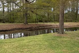 429 Butts Rd, Angier, NC 27501 - Photo 34