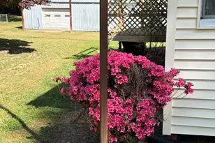 429 Butts Rd, Angier, NC 27501 - Photo 76
