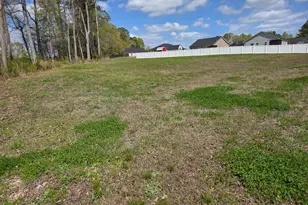 245 Yellowwood Ave, Spring Hope, NC 27882 - Photo 26