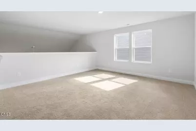 282 Pierre Drive, Benson, NC 27504 - Photo 22