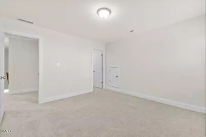 335 Margot Manor Drive, Benson, NC 27504 - Photo 28