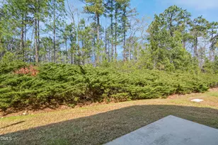 721 Hamlet Park Dr, Morrisville, NC 27560 - Photo 24