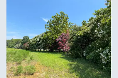 0 Hwy 39, Henderson, NC 27537 - Photo 6