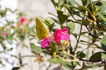 3425 Coach Lantern Avenue, Wake Forest, NC 27587 - Photo 26