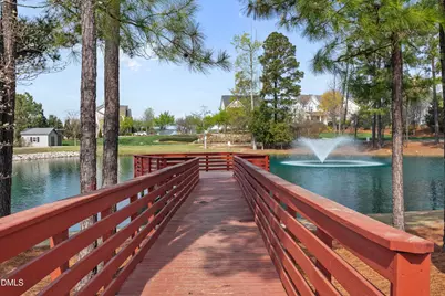 233 Tumbling River Drive, Wendell, NC 27591 - Photo 56