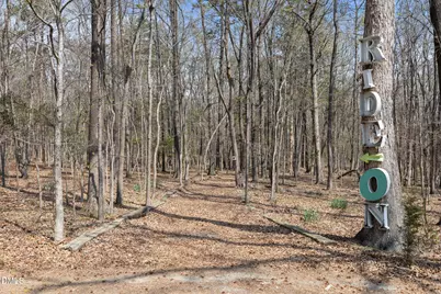 2515 Moores Mill Road, Rougemont, NC 27572 - Photo 90