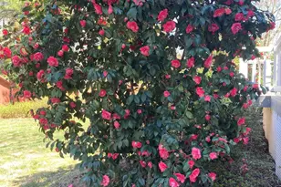 2064 Oxford Rd, Henderson, NC 27536 - Photo 62