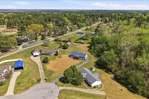 3909 La Varra Dr, Clayton, NC 27520 - Photo 48