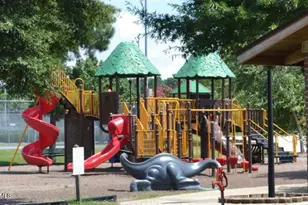 279 New Twin Br Ct, Smithfield, NC 27577 - Photo 48