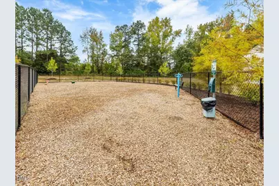 90 Barnsley Road, Angier, NC 27501 - Photo 40