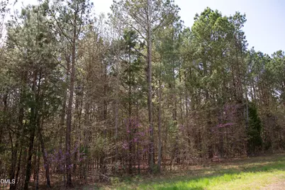 00 Tatum Road Road, Roxboro, NC 27574 - Photo 12