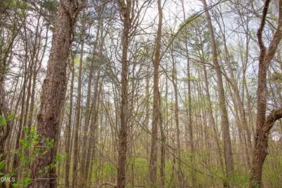 00 Tatum Road Road, Roxboro, NC 27574 - Photo 18