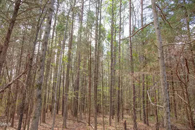 00 Tatum Road Road, Roxboro, NC 27574 - Photo 20