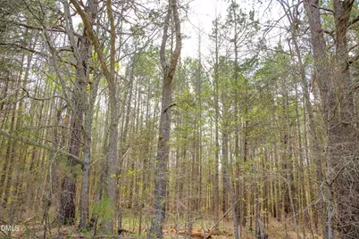 00 Tatum Road Road, Roxboro, NC 27574 - Photo 16