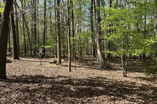 8 Arrowwood Ct, Durham, NC 27712 - Photo 32