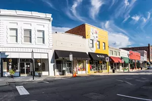 267 New Twin Br Ct, Smithfield, NC 27577 - Photo 36