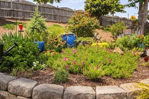 439 Cedar Pond Ct, Knightdale, NC 27545 - Photo 36