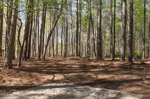 6119 Splitrock Trail, Apex, NC 27539 - Photo 44