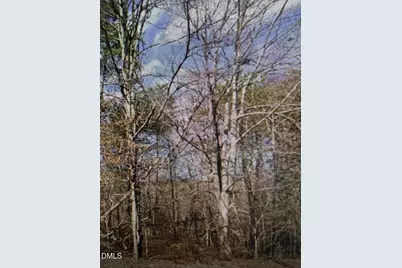 Lot 11 Lynn Smith Road, Semora, NC 27343 - Photo 4