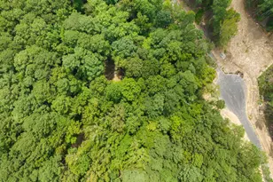 87 Anfield Rd, New Hill, NC 27562 - Photo 12