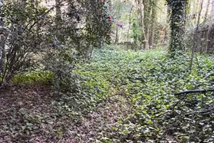 107 Somersby Ct, Cary, NC 27519 - Photo 8